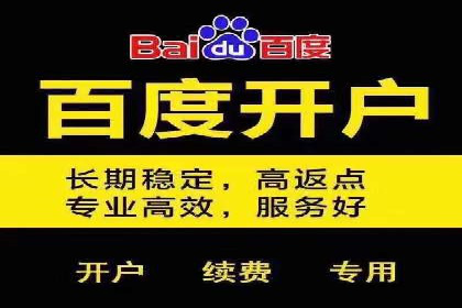 谷歌竞价案例：成功案例分析及启示